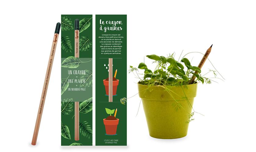 Crayon à planter